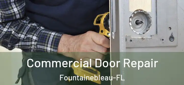 Commercial Door Repair Fountainebleau-FL