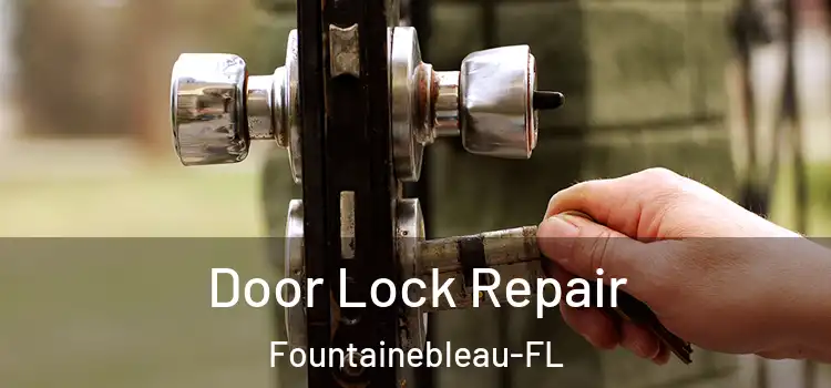Door Lock Repair Fountainebleau-FL