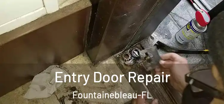 Entry Door Repair Fountainebleau-FL