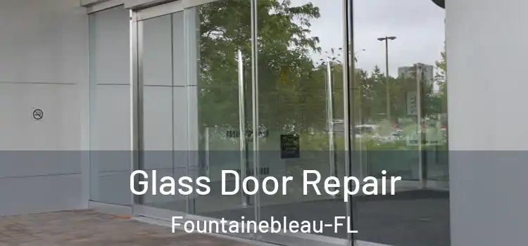 Glass Door Repair Fountainebleau-FL