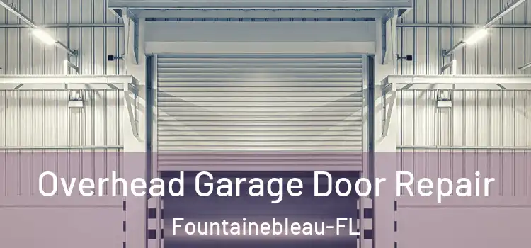 Overhead Garage Door Repair Fountainebleau-FL