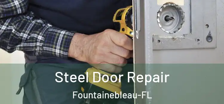 Steel Door Repair Fountainebleau-FL