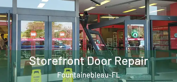 Storefront Door Repair Fountainebleau-FL